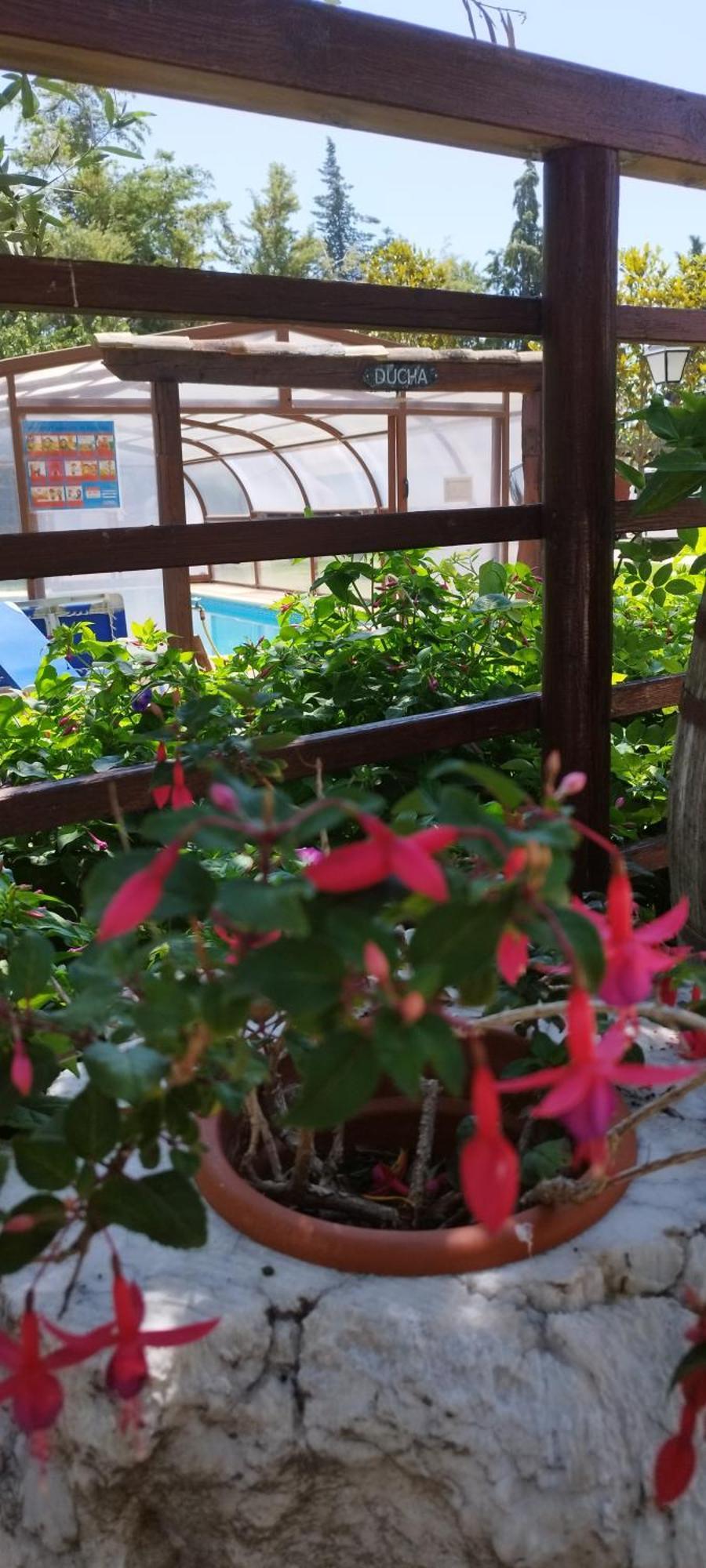Rincon Del Cierzo Guest House Lecera ภายนอก รูปภาพ