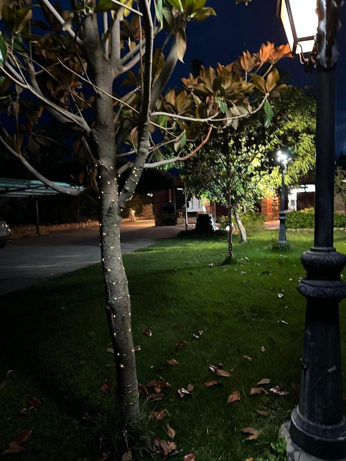 Rincon Del Cierzo Guest House Lecera ภายนอก รูปภาพ