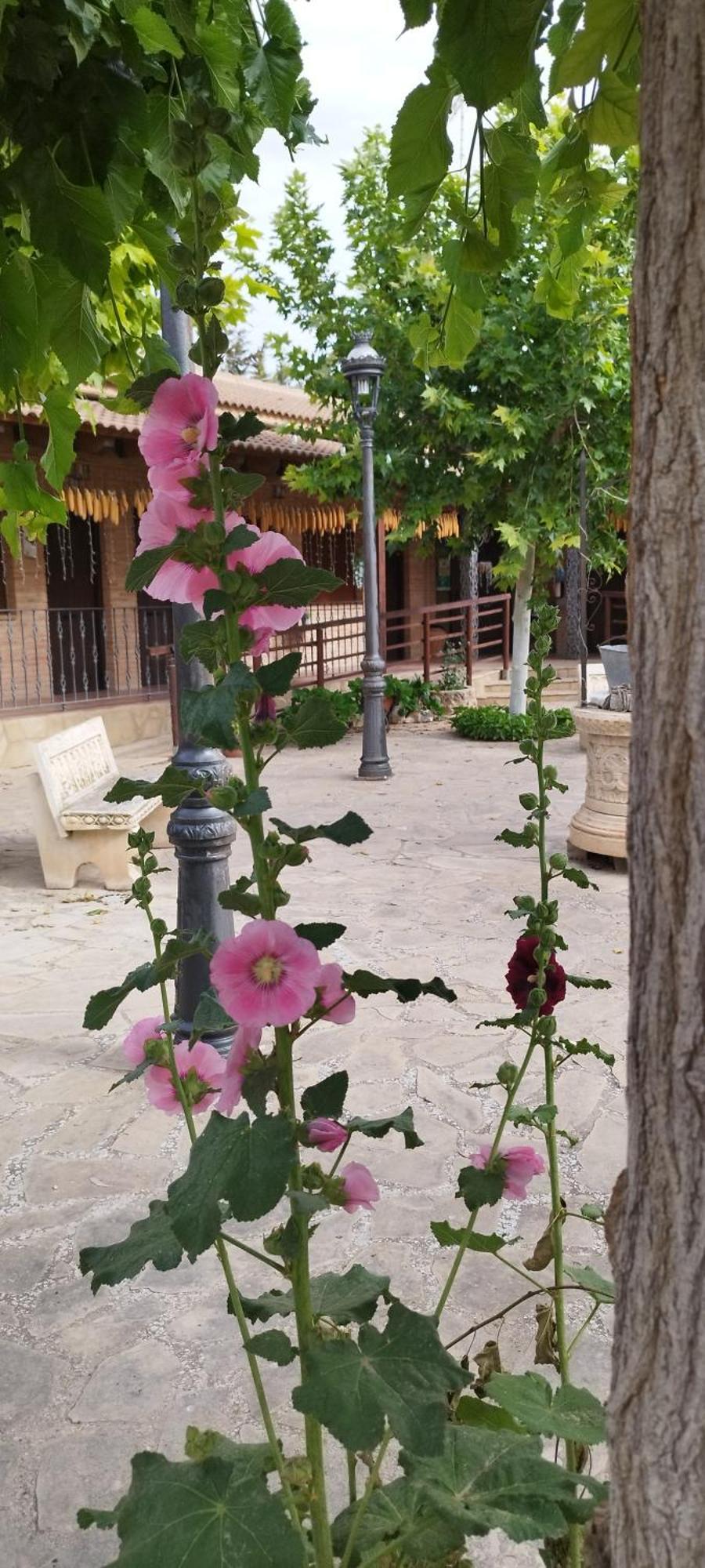 Rincon Del Cierzo Guest House Lecera ภายนอก รูปภาพ